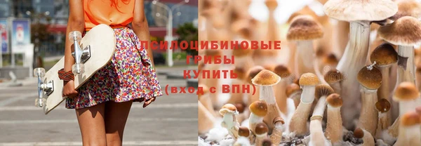 ПСИЛОЦИБИНОВЫЕ ГРИБЫ Киренск