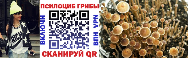 Купить где  Волчанск  Галлюциногенные грибы ЛСД 